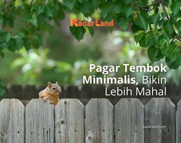 11 Pagar Tembok Minimalis, Bikin Rumah Terlihat Lebih Mahal